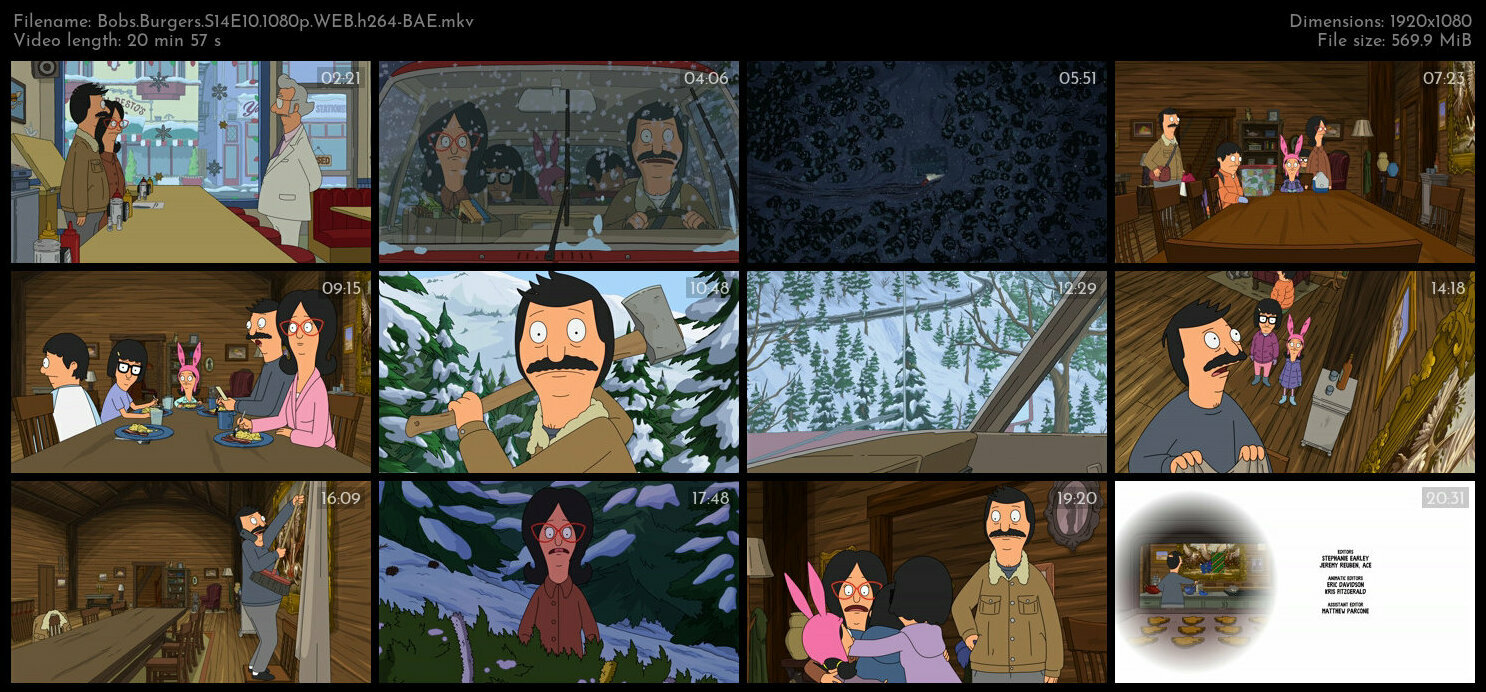 Bobs Burgers S14E10 1080p WEB h264 BAE TGx