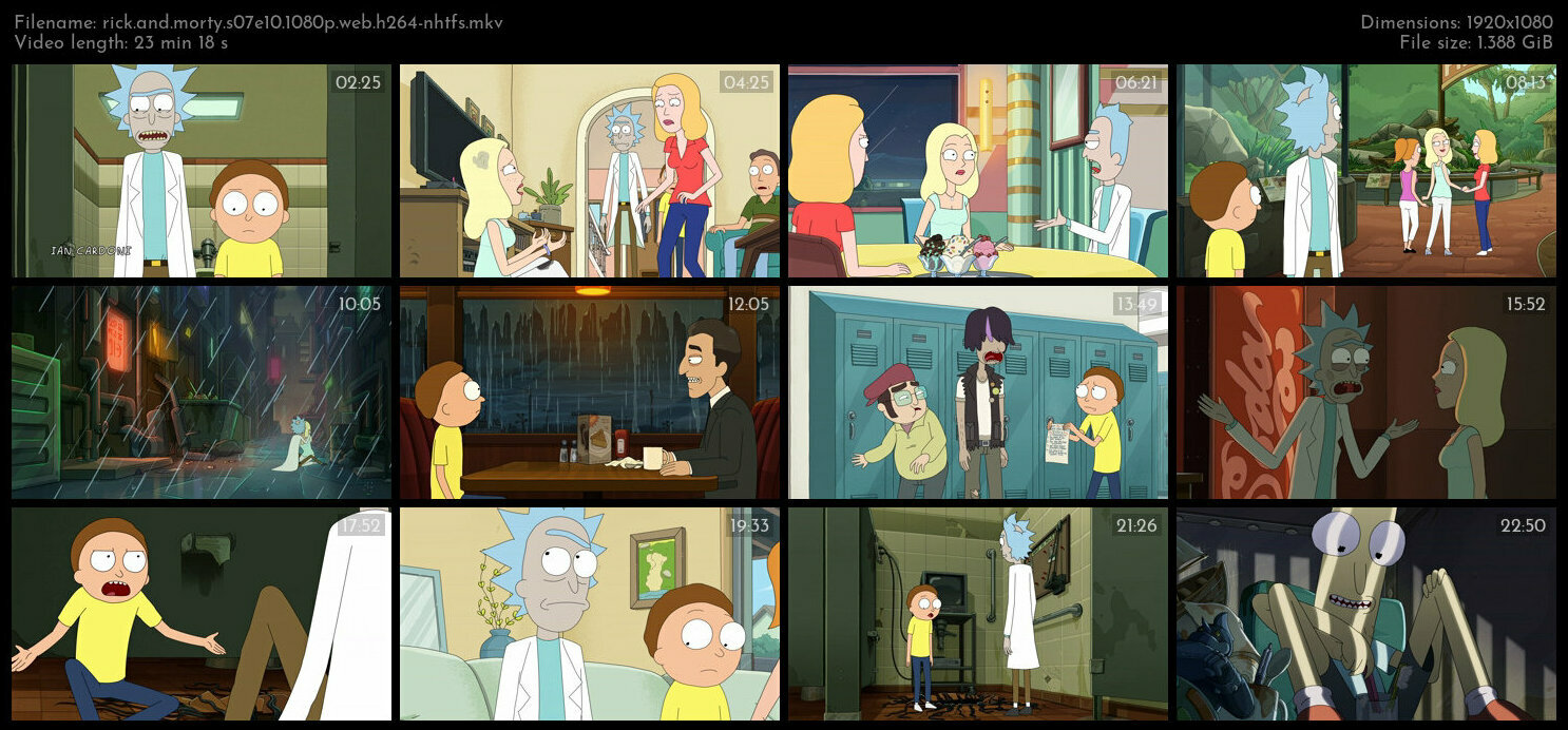 Rick and Morty S07E10 1080p WEB H264 NHTFS TGx
