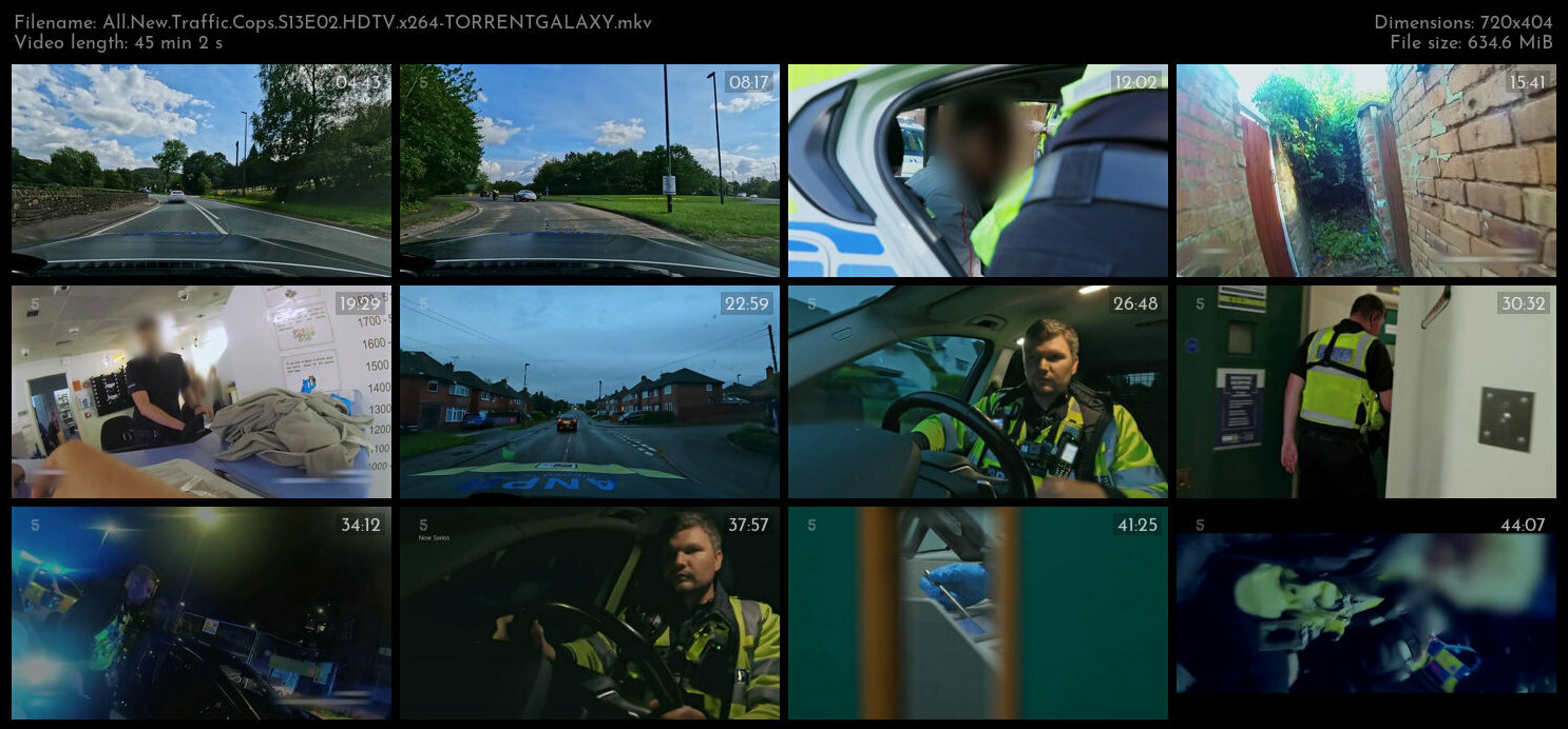 All New Traffic Cops S13E02 HDTV x264 TORRENTGALAXY