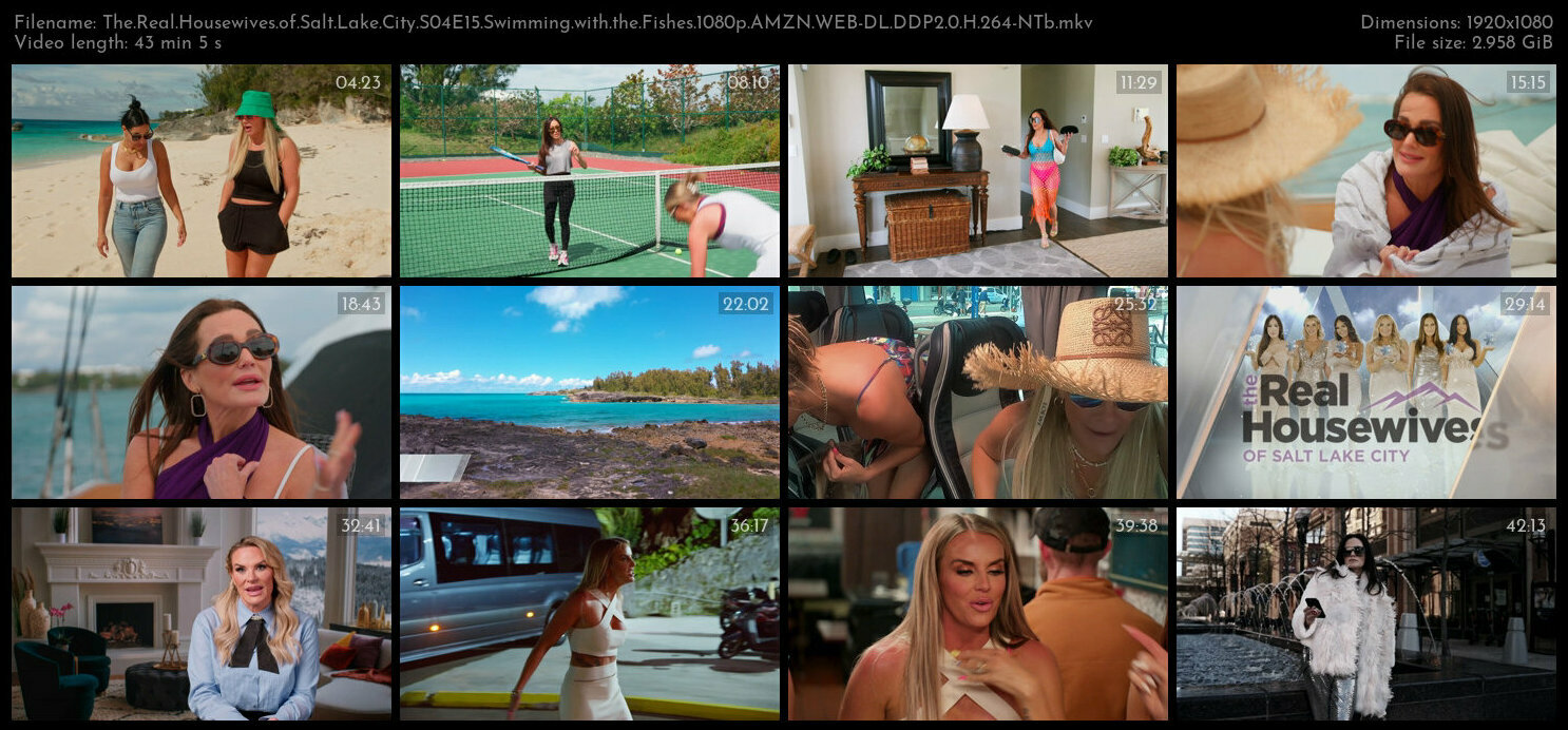 The Real Housewives of Salt Lake City S04E15 Swimming with the Fishes 1080p AMZN WEB DL DDP2 0 H 264