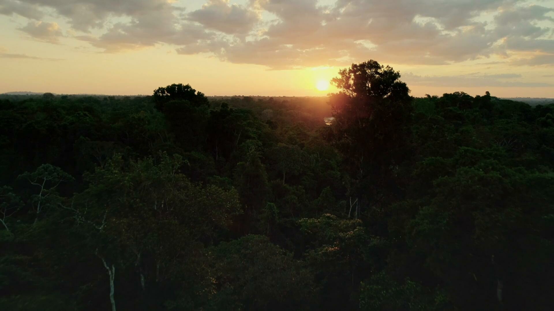 Expedition with Steve Backshall S01E03 Suriname Lost World 1080p AMZN WEB DL DDP2 0 H 264 NTb TGx