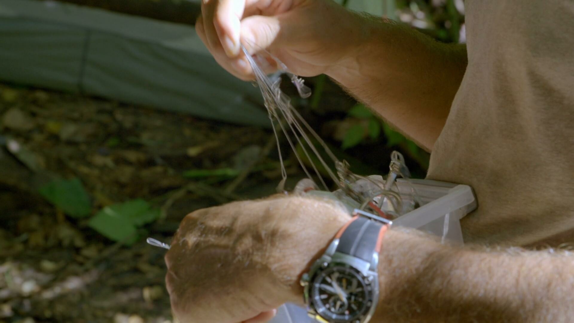 Expedition with Steve Backshall S01E09 Suriname Ghost River 1080p AMZN WEB DL DDP2 0 H 264 NTb TGx