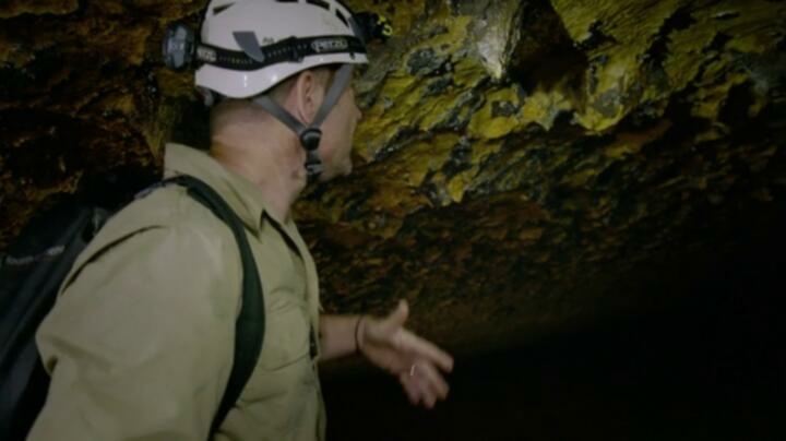 Expedition with Steve Backshall S01E05 WEB x264 TORRENTGALAXY