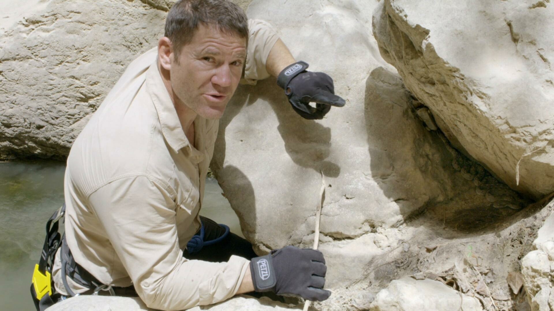 Expedition with Steve Backshall S01E01 Oman Desert Canyon 1080p AMZN WEB DL DDP2 0 H 264 NTb TGx