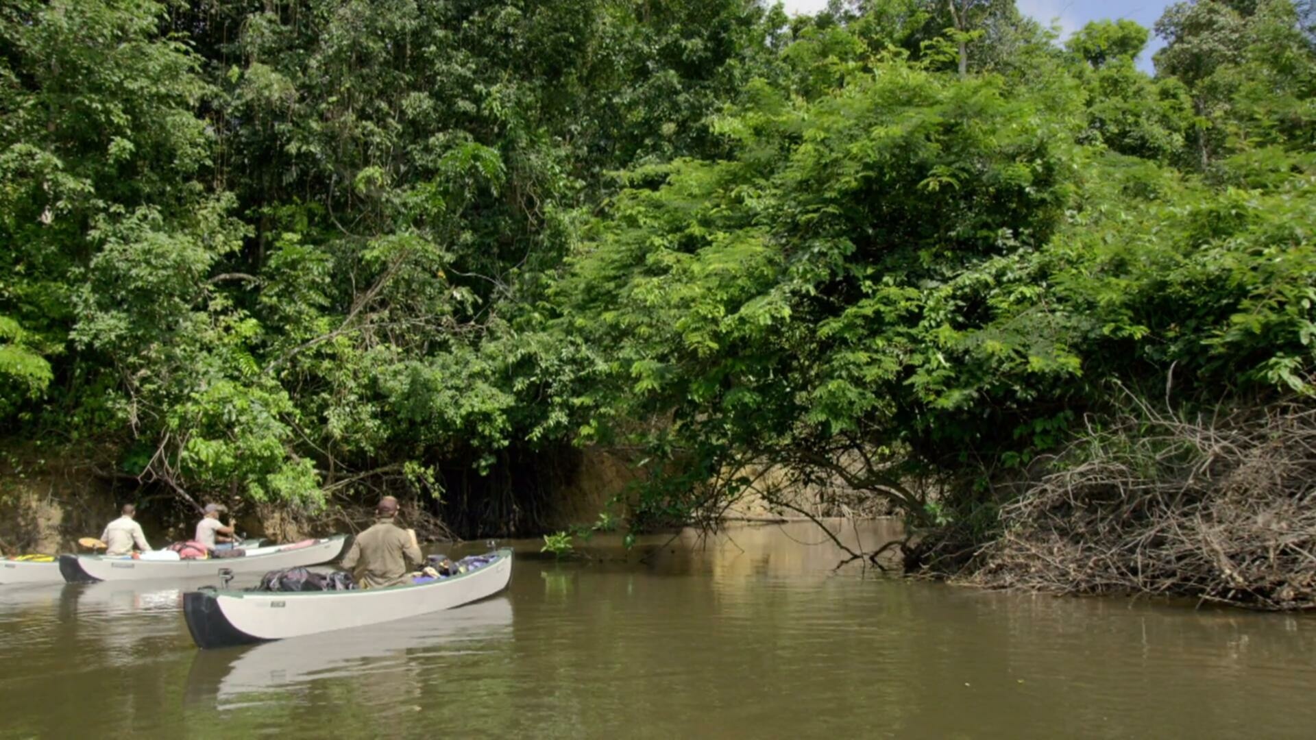 Expedition with Steve Backshall S01E09 Suriname Ghost River 1080p AMZN WEB DL DDP2 0 H 264 NTb TGx