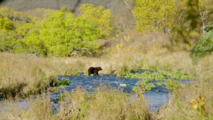 Expedition with Steve Backshall S02E01 WEB x264 TORRENTGALAXY