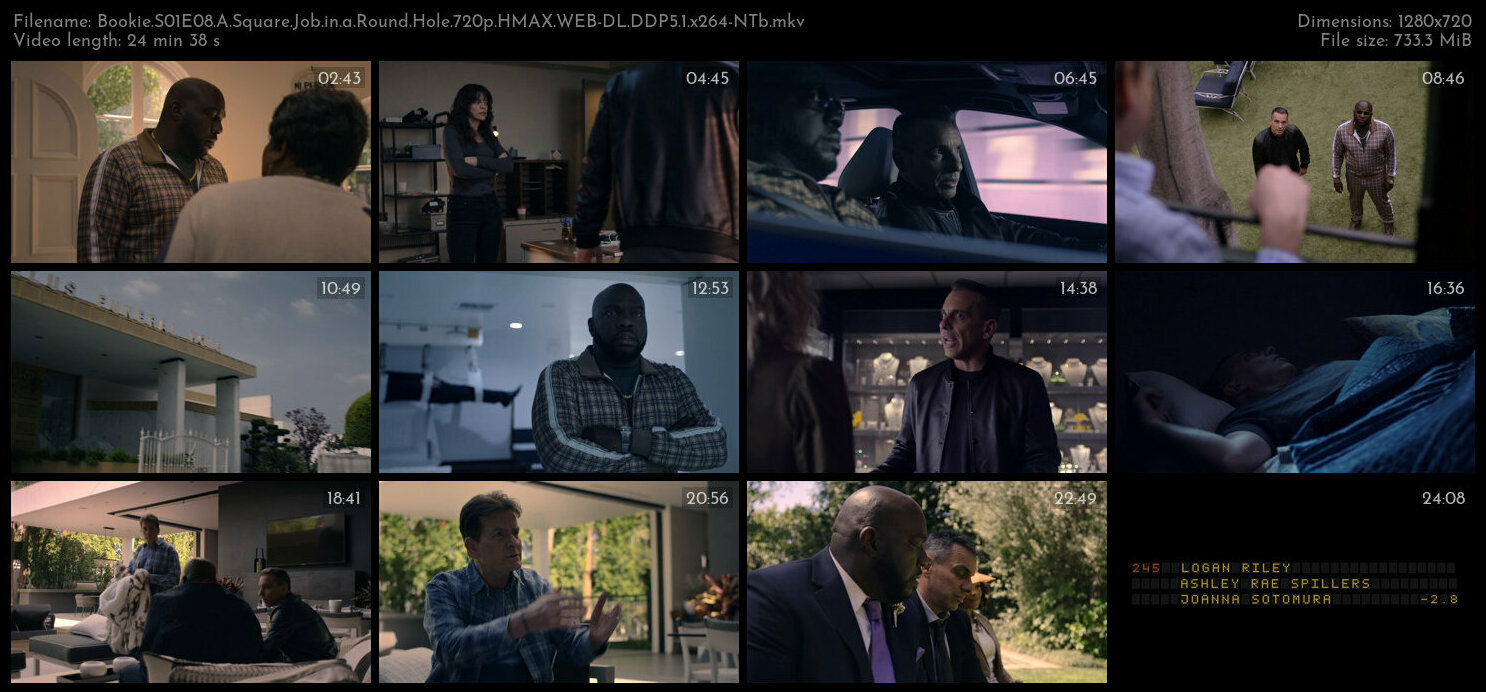 Bookie S01E08 A Square Job in a Round Hole 720p HMAX WEB DL DDP5 1 x264 NTb TGx