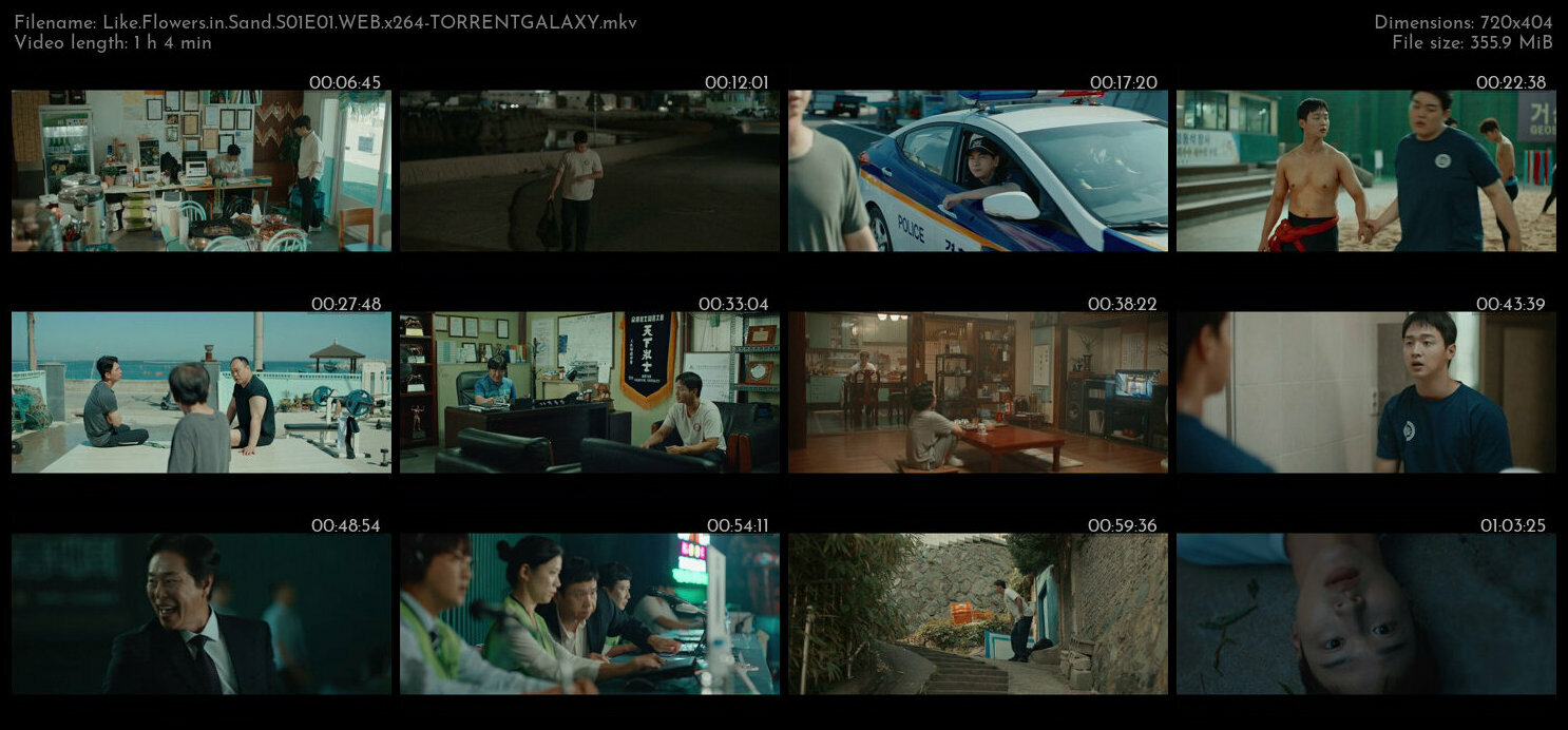 Like Flowers in Sand S01E01 WEB x264 TORRENTGALAXY