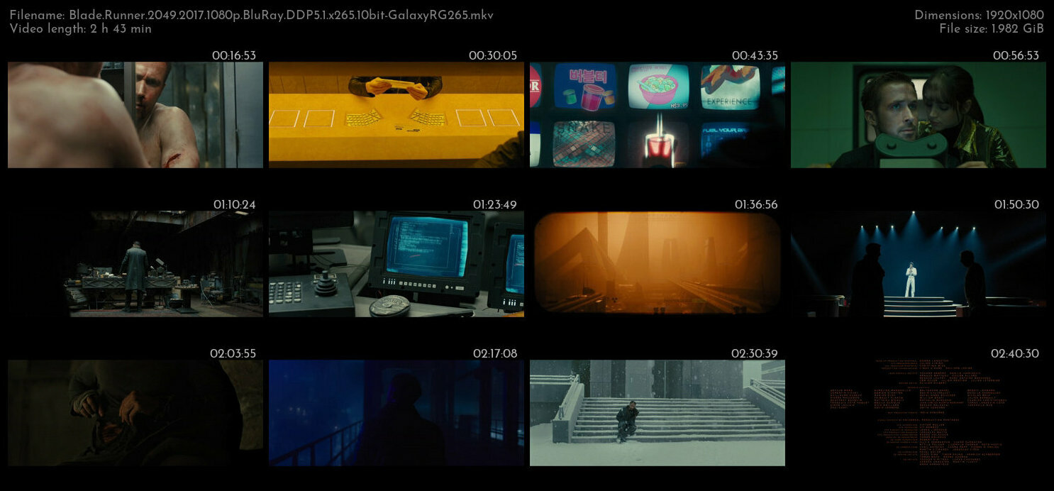 Blade Runner 2049 2017 1080p BluRay DDP5 1 x265 10bit GalaxyRG265