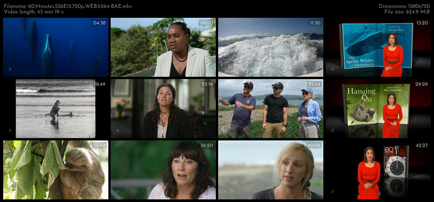 60 Minutes S56E15 720p WEB h264 BAE TGx