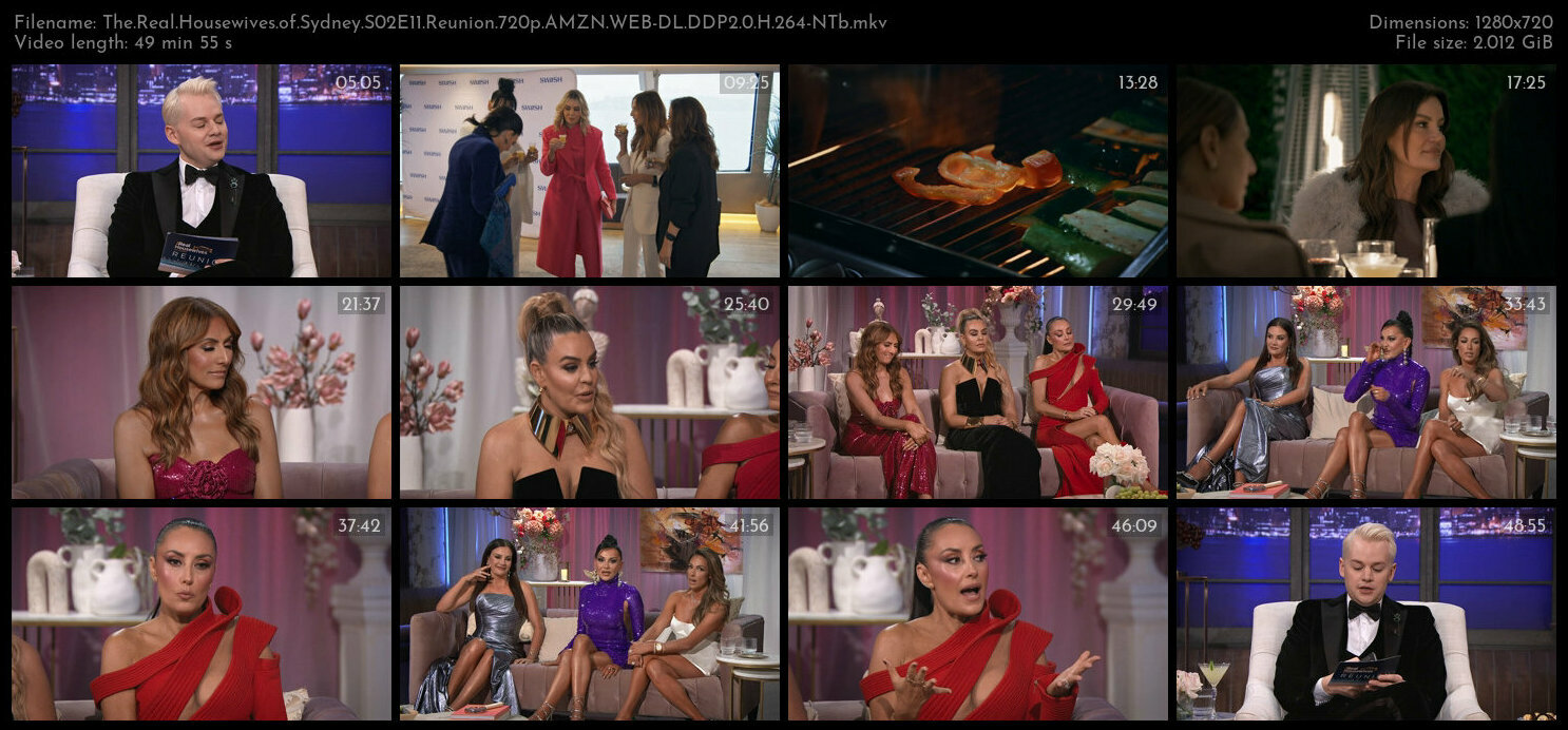 The Real Housewives of Sydney S02E11 Reunion 720p AMZN WEB DL DDP2 0 H 264 NTb TGx