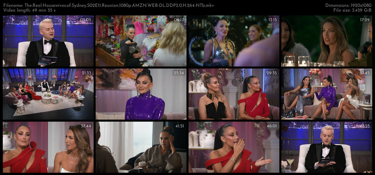The Real Housewives of Sydney S02E11 Reunion 1080p AMZN WEB DL DDP2 0 H 264 NTb TGx