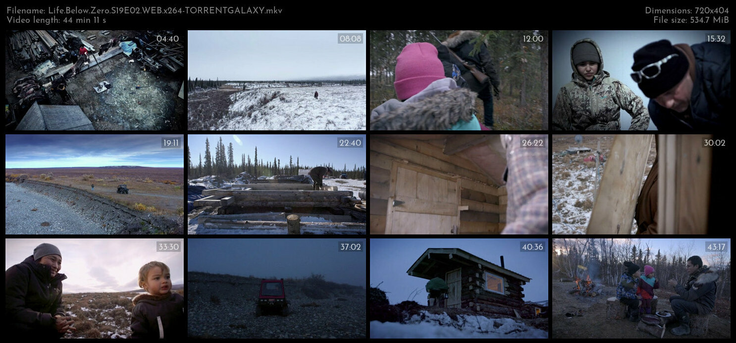 Life Below Zero S19E02 WEB x264 TORRENTGALAXY