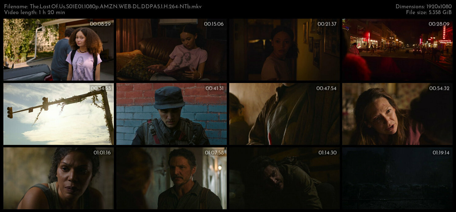 The Last Of Us S01E01 1080p AMZN WEB DL DDPA5 1 H 264 NTb TGx