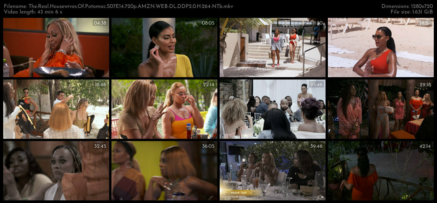 The Real Housewives Of Potomac S07E14 720p AMZN WEB DL DDP2 0 H 264 NTb TGx