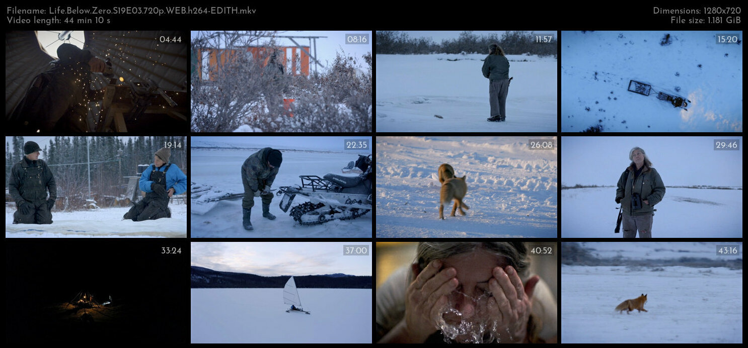 Life Below Zero S19E03 720p WEB h264 EDITH TGx