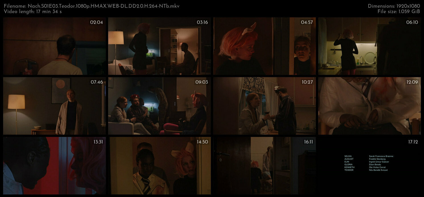 Nach S01E03 Teodor 1080p HMAX WEB DL DD2 0 H 264 NTb TGx