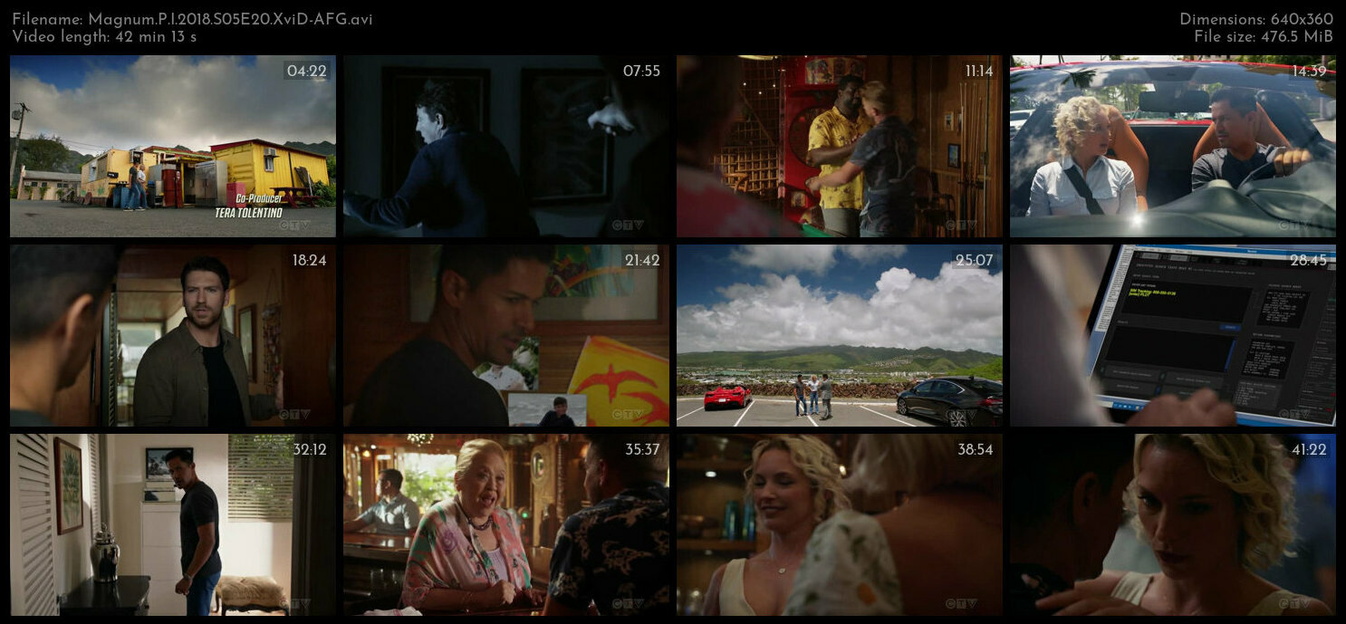 Magnum P I 2018 S05E20 XviD AFG TGx