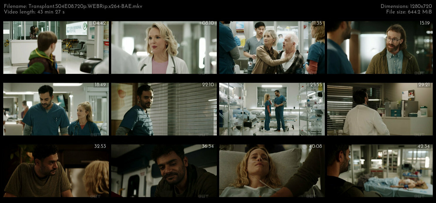 Transplant S04E08 720p WEBRip x264 BAE TGx