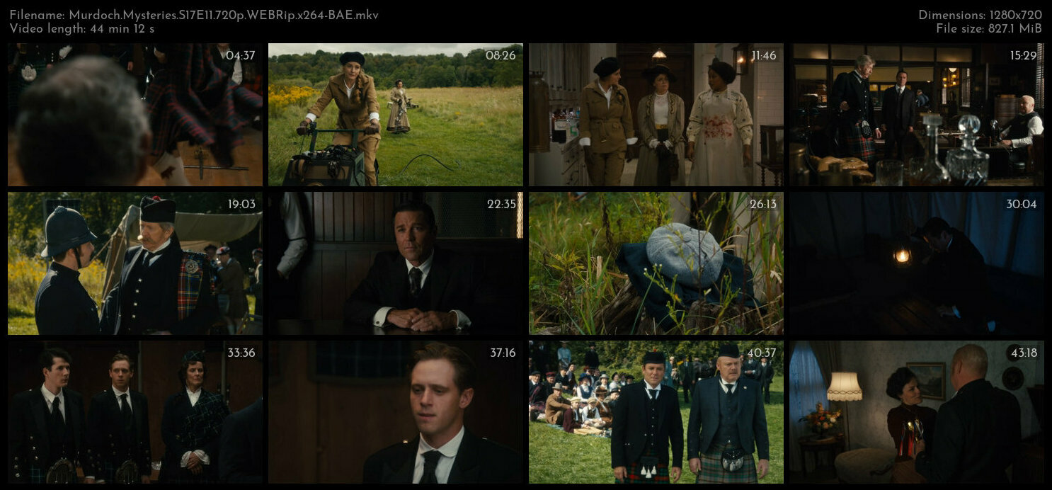 Murdoch Mysteries S17E11 720p WEBRip x264 BAE TGx