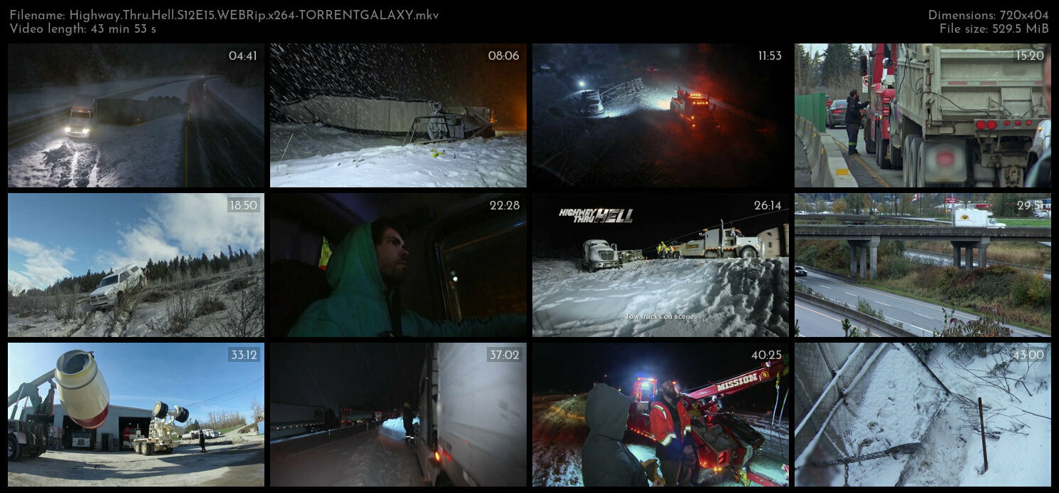 Highway Thru Hell S12E15 WEBRip x264 TORRENTGALAXY