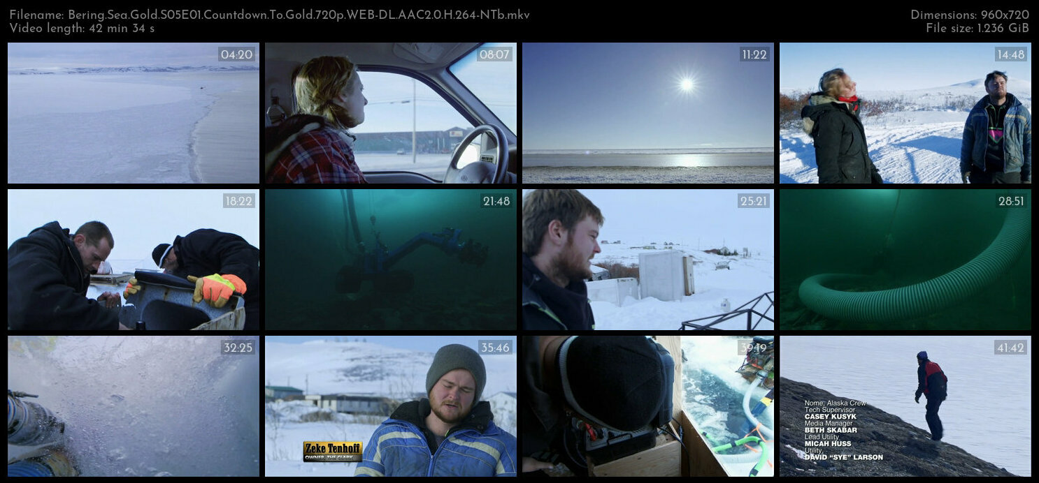 Bering Sea Gold S05E01 Countdown To Gold 720p WEB DL AAC2 0 H 264 NTb TGx