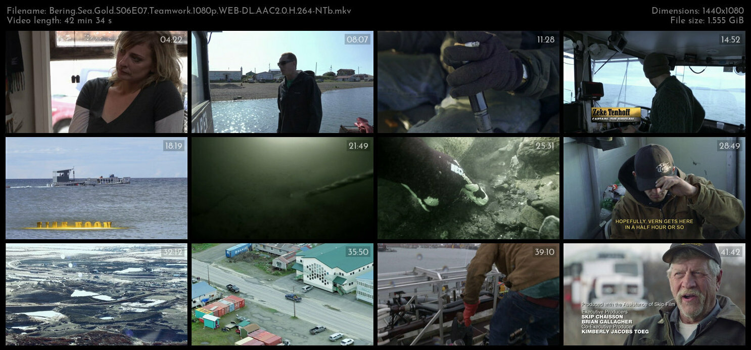 Bering Sea Gold S06E07 Teamwork 1080p WEB DL AAC2 0 H 264 NTb TGx