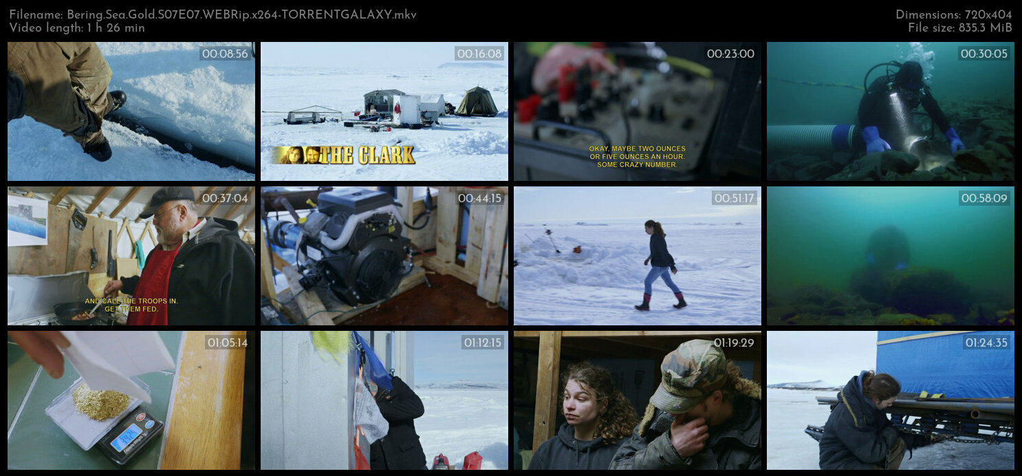 Bering Sea Gold S07E07 WEBRip x264 TORRENTGALAXY