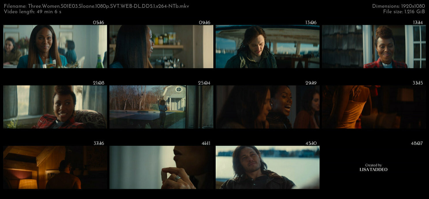 Three Women S01E03 Sloane 1080p SVT WEB DL DD5 1 x264 NTb TGx