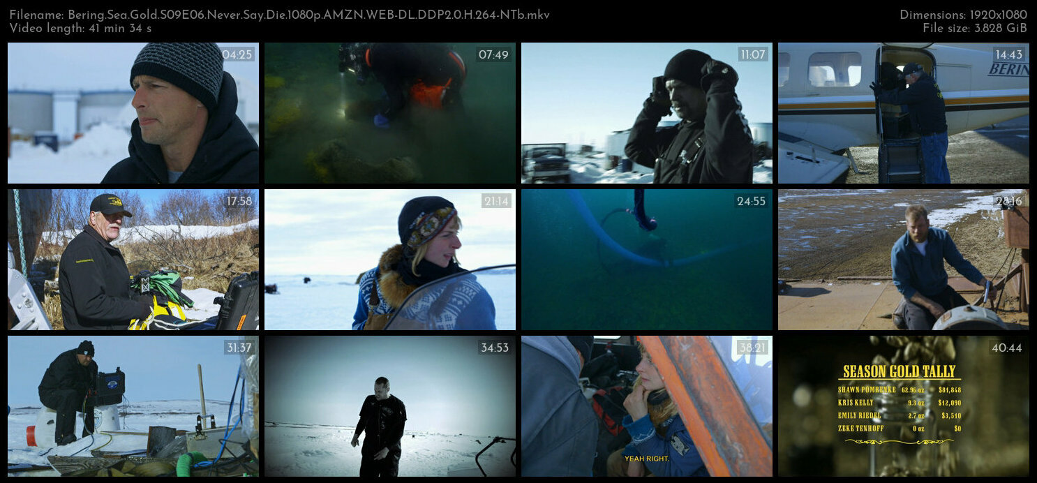 Bering Sea Gold S09E06 Never Say Die 1080p AMZN WEB DL DDP2 0 H 264 NTb TGx