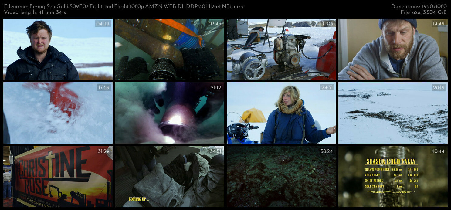 Bering Sea Gold S09E07 Fight and Flight 1080p AMZN WEB DL DDP2 0 H 264 NTb TGx