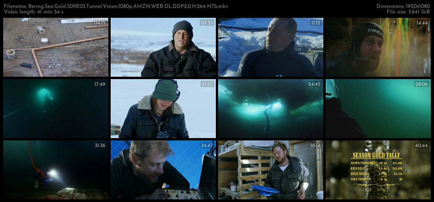 Bering Sea Gold S09E03 Tunnel Vision 1080p AMZN WEB DL DDP2 0 H 264 NTb TGx