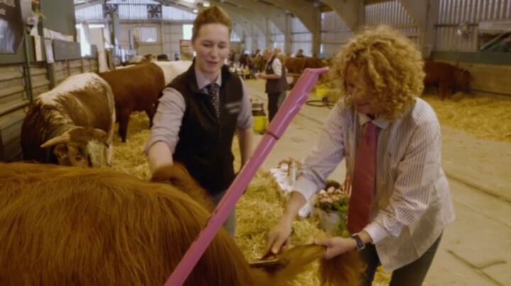 Escape to the Farm with Kate Humble S03E02 HDTV x264 TORRENTGALAXY