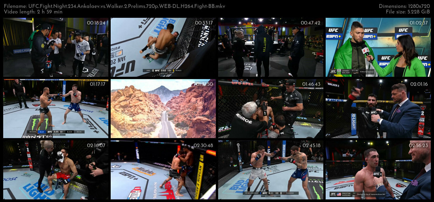 UFC Fight Night 234 Ankalaev vs Walker 2 Prelims 720p WEB DL H264 Fight BB