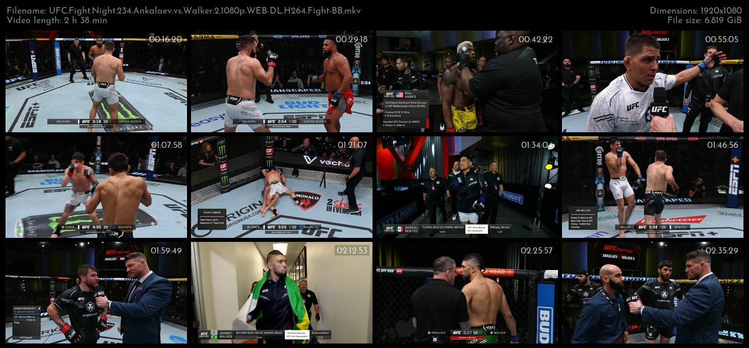 UFC Fight Night 234 Ankalaev vs Walker 2 1080p WEB DL H264 Fight BB