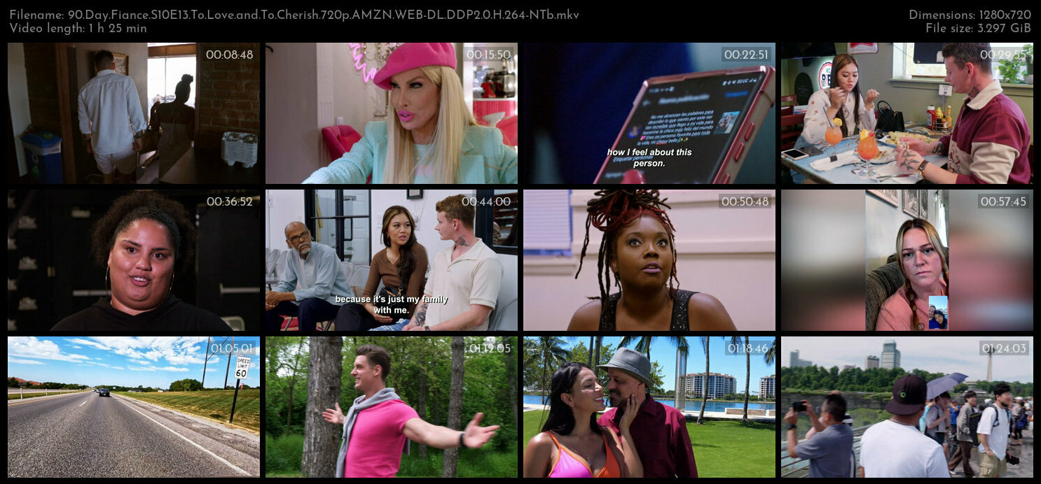 90 Day Fiance S10E13 To Love and To Cherish 720p AMZN WEB DL DDP2 0 H 264 NTb TGx