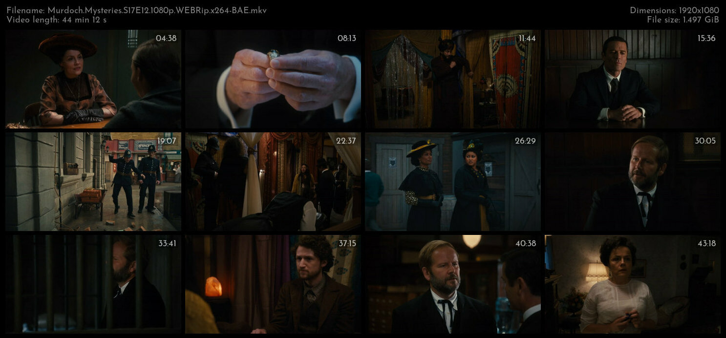 Murdoch Mysteries S17E12 1080p WEBRip x264 BAE TGx