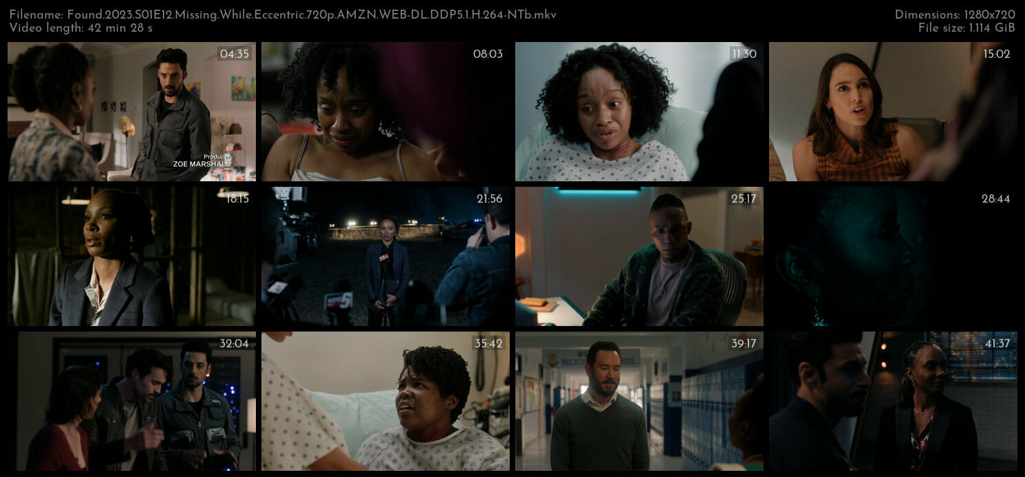 Found 2023 S01E12 Missing While Eccentric 720p AMZN WEB DL DDP5 1 H 264 NTb TGx