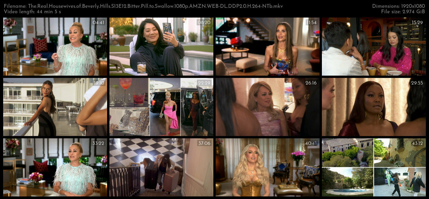 The Real Housewives of Beverly Hills S13E12 Bitter Pill to Swallow 1080p AMZN WEB DL DDP2 0 H 264 NT