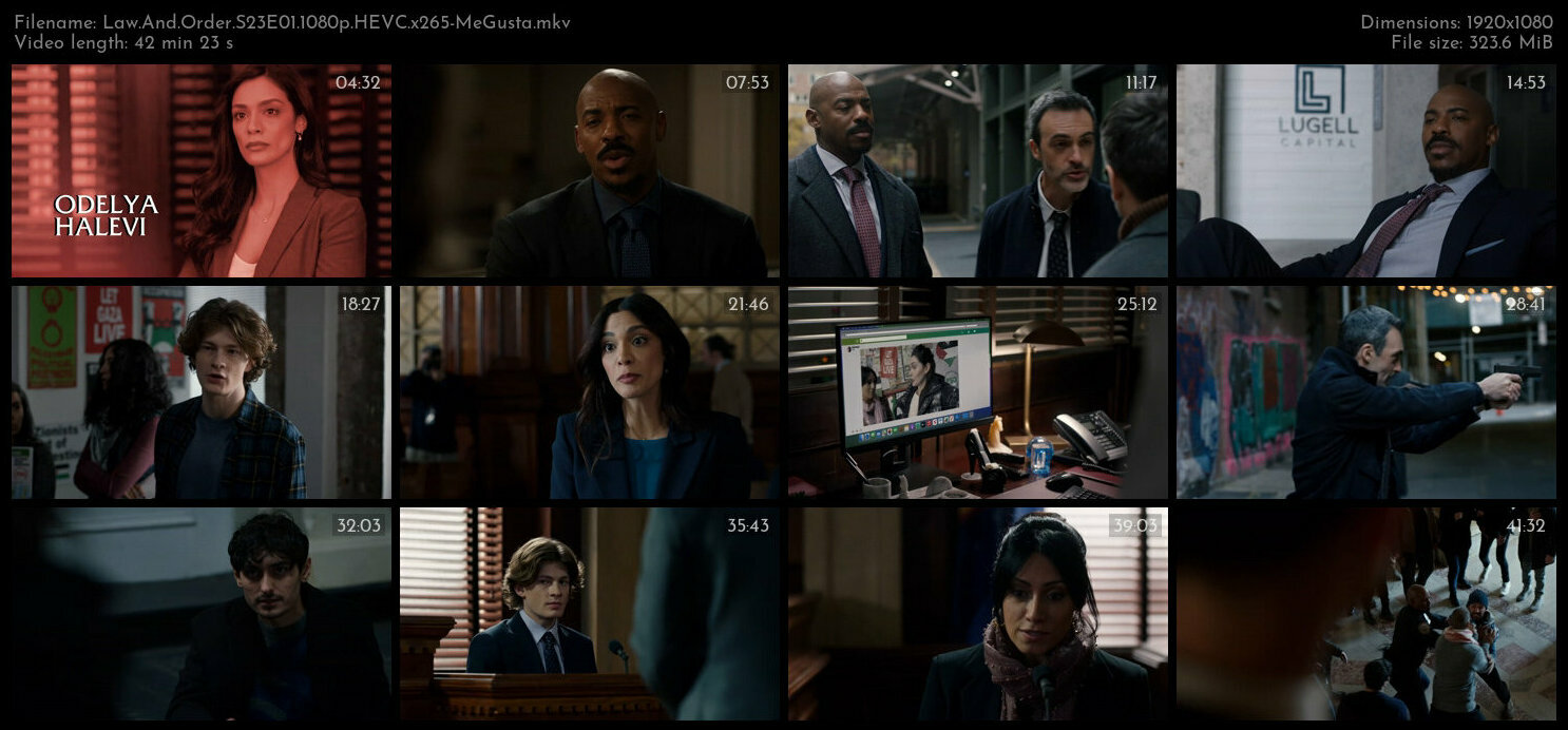 Law And Order S23E01 1080p HEVC x265 MeGusta TGx