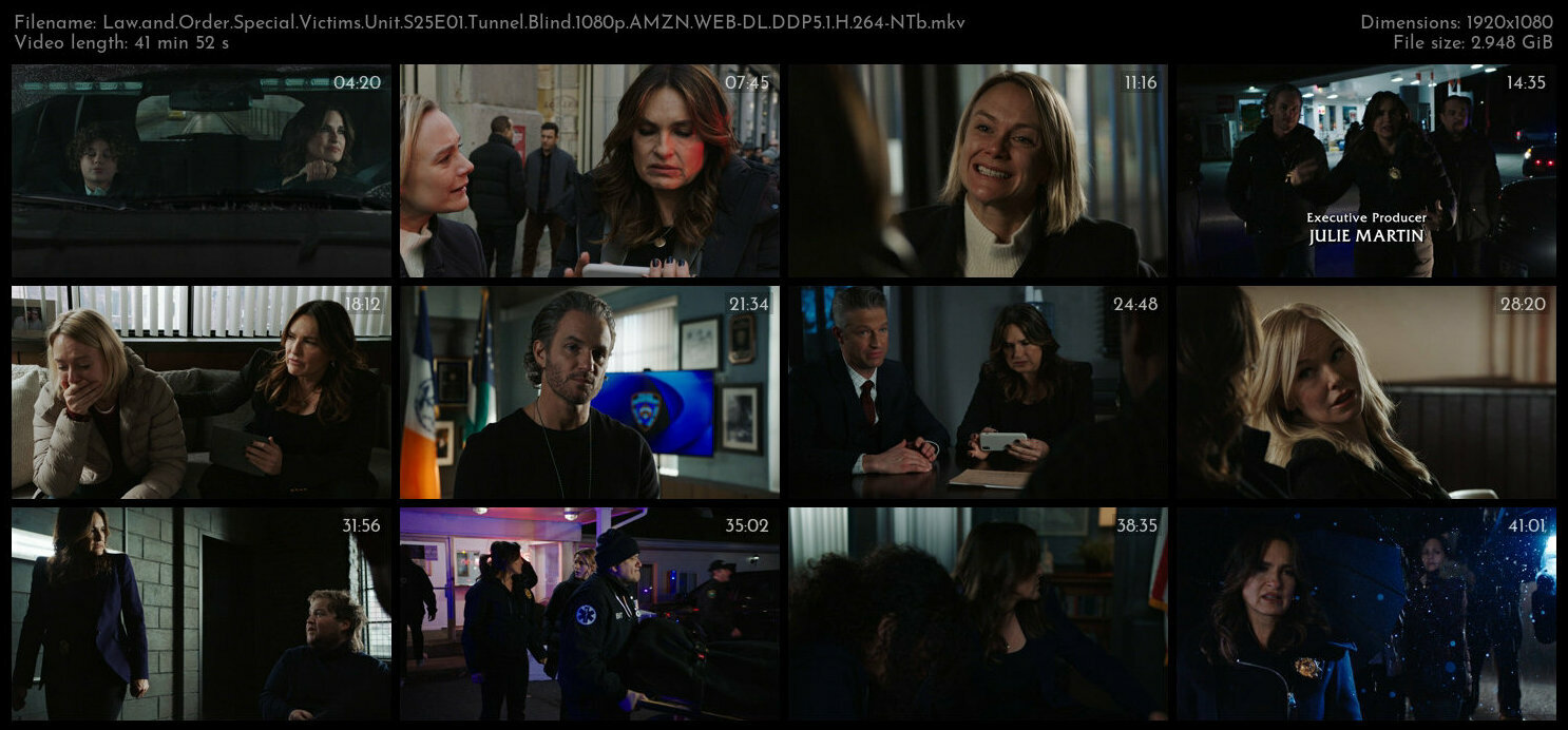 Law and Order Special Victims Unit S25E01 Tunnel Blind 1080p AMZN WEB DL DDP5 1 H 264 NTb TGx