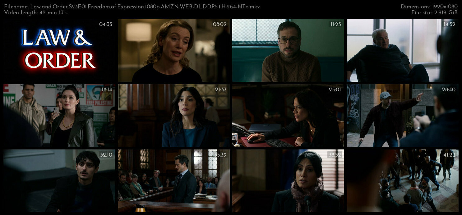 Law and Order S23E01 Freedom of Expression 1080p AMZN WEB DL DDP5 1 H 264 NTb TGx
