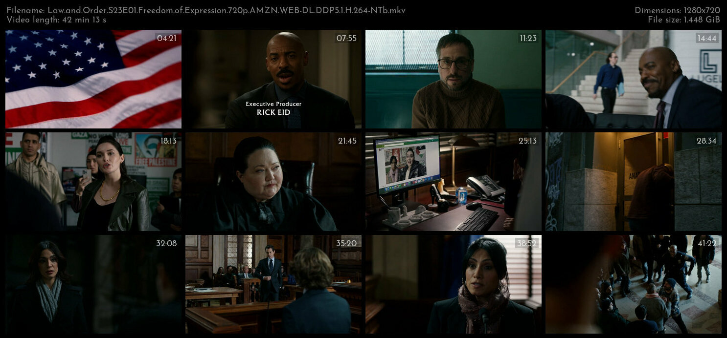 Law and Order S23E01 Freedom of Expression 720p AMZN WEB DL DDP5 1 H 264 NTb TGx