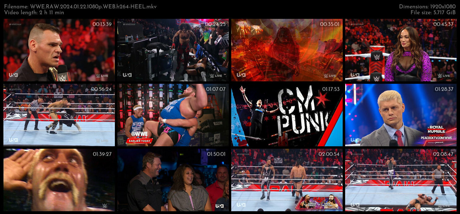 WWE RAW 2024 01 22 1080p WEB h264 HEEL TGx
