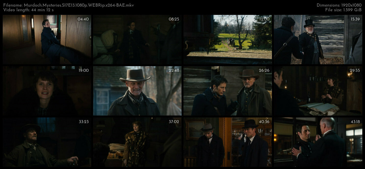 Murdoch Mysteries S17E13 1080p WEBRip x264 BAE TGx