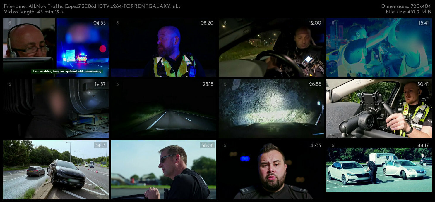 All New Traffic Cops S13E06 HDTV x264 TORRENTGALAXY