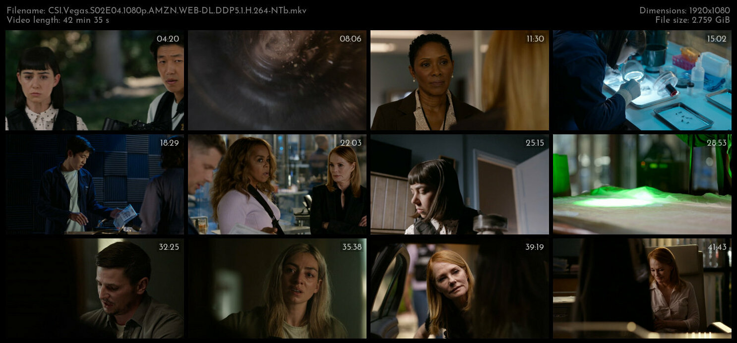 CSI Vegas S02E04 1080p AMZN WEB DL DDP5 1 H 264 NTb TGx