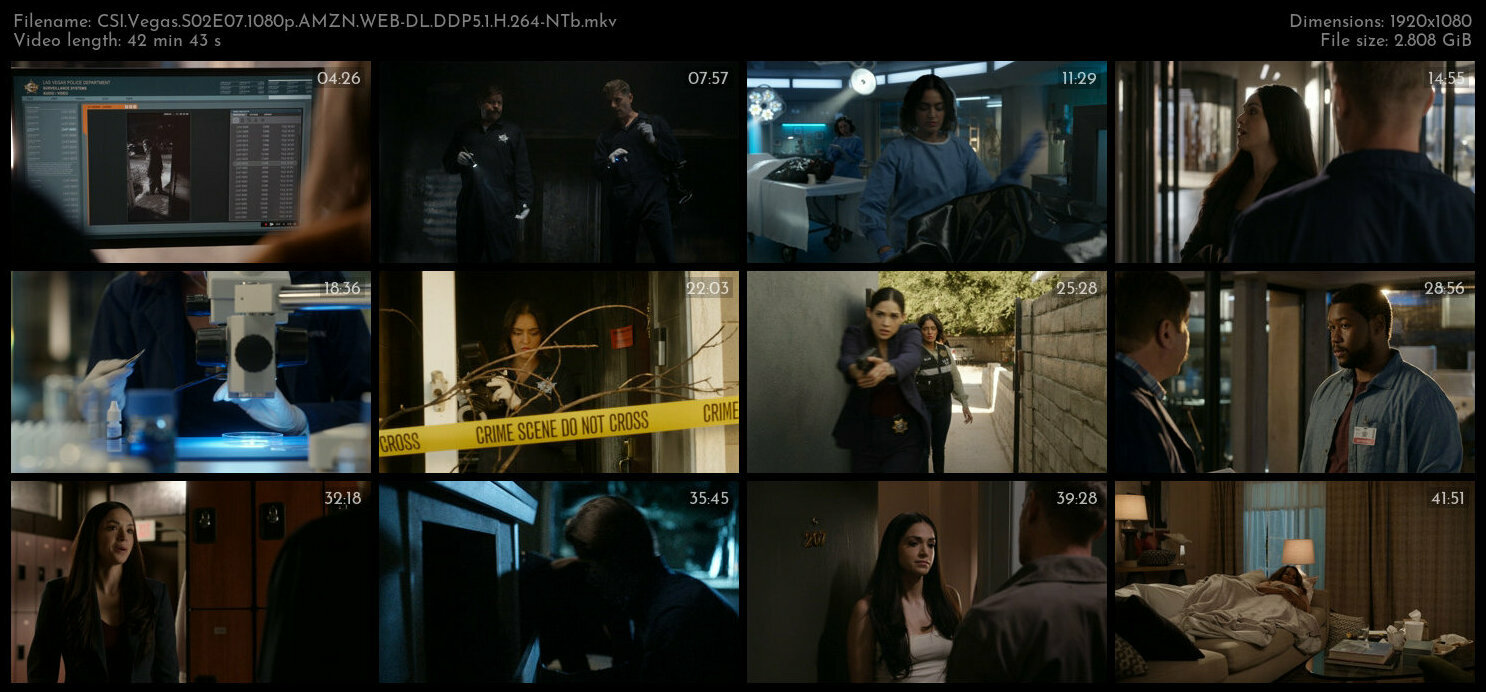 CSI Vegas S02E07 1080p AMZN WEB DL DDP5 1 H 264 NTb TGx