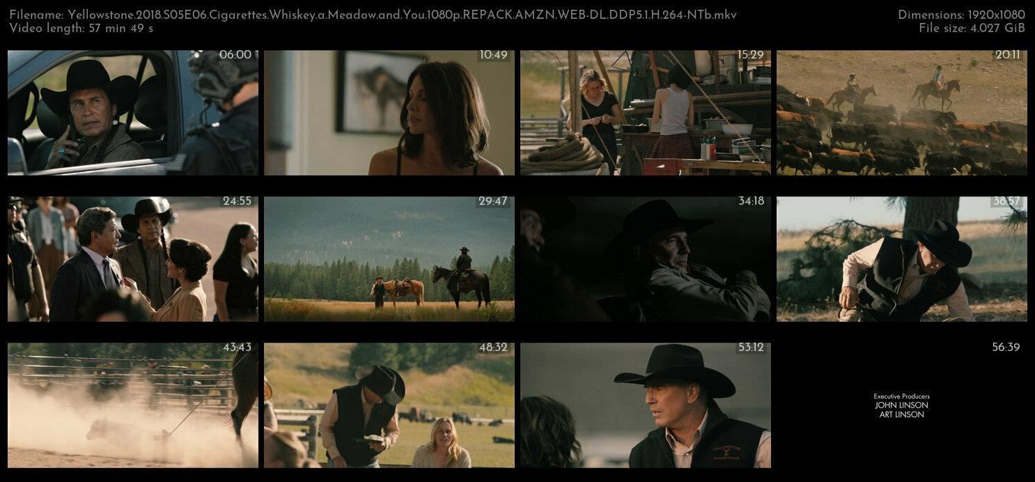 Yellowstone 2018 S05E06 Cigarettes Whiskey a Meadow and You 1080p REPACK AMZN WEB DL DDP5 1 H 264 NT