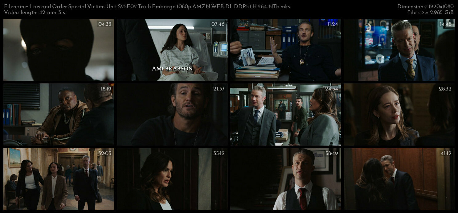 Law and Order Special Victims Unit S25E02 Truth Embargo 1080p AMZN WEB DL DDP5 1 H 264 NTb TGx